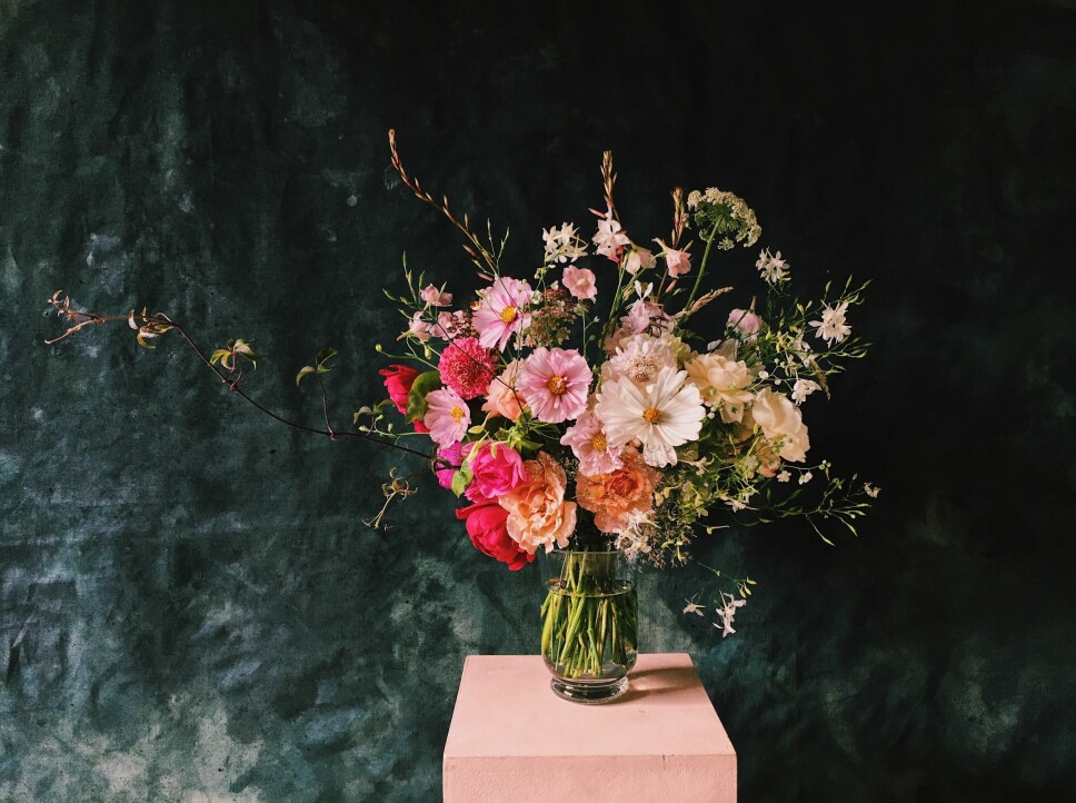 BLOMSTERSPRÅK: Lær hva blomstene du gir betyr og bli klokere på rosenes spesielle språk.