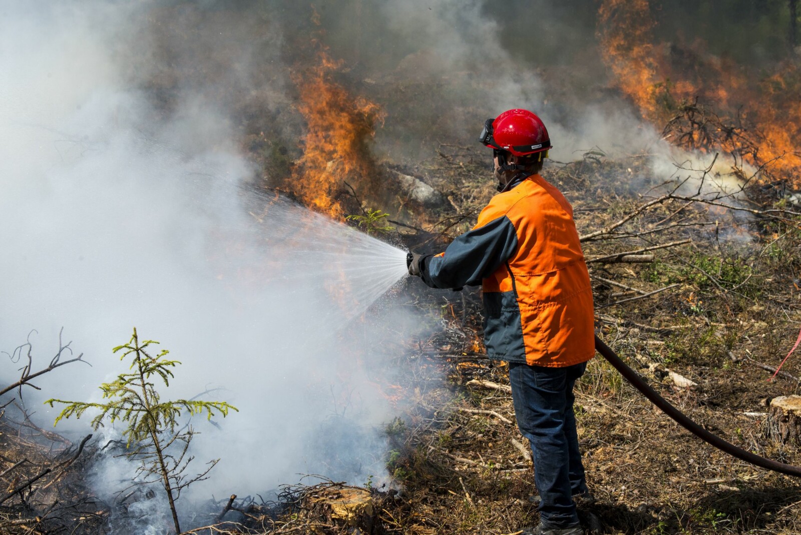 <b>INNSATS:</b> Skogbrannsesongen har vært krevende så langt i år. Her fra en brannøvelse ved Torpo i Hallingdal.