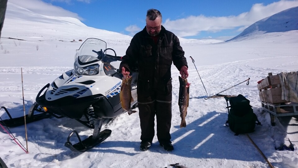 STORT: I det ene Fiskalusvatnet i Hattfjelldal er det stor røye, i det andre stor ørret ... ( Foto: Privat)