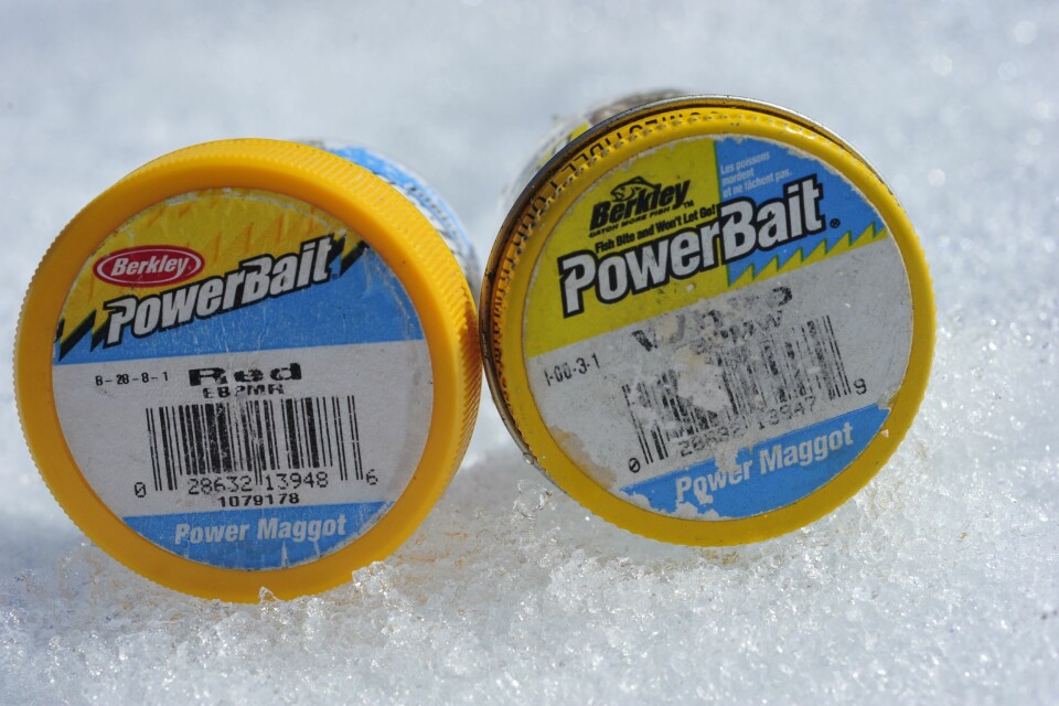 RØYEAGN: Maggot er røyefiskerens faste følgesvenn.