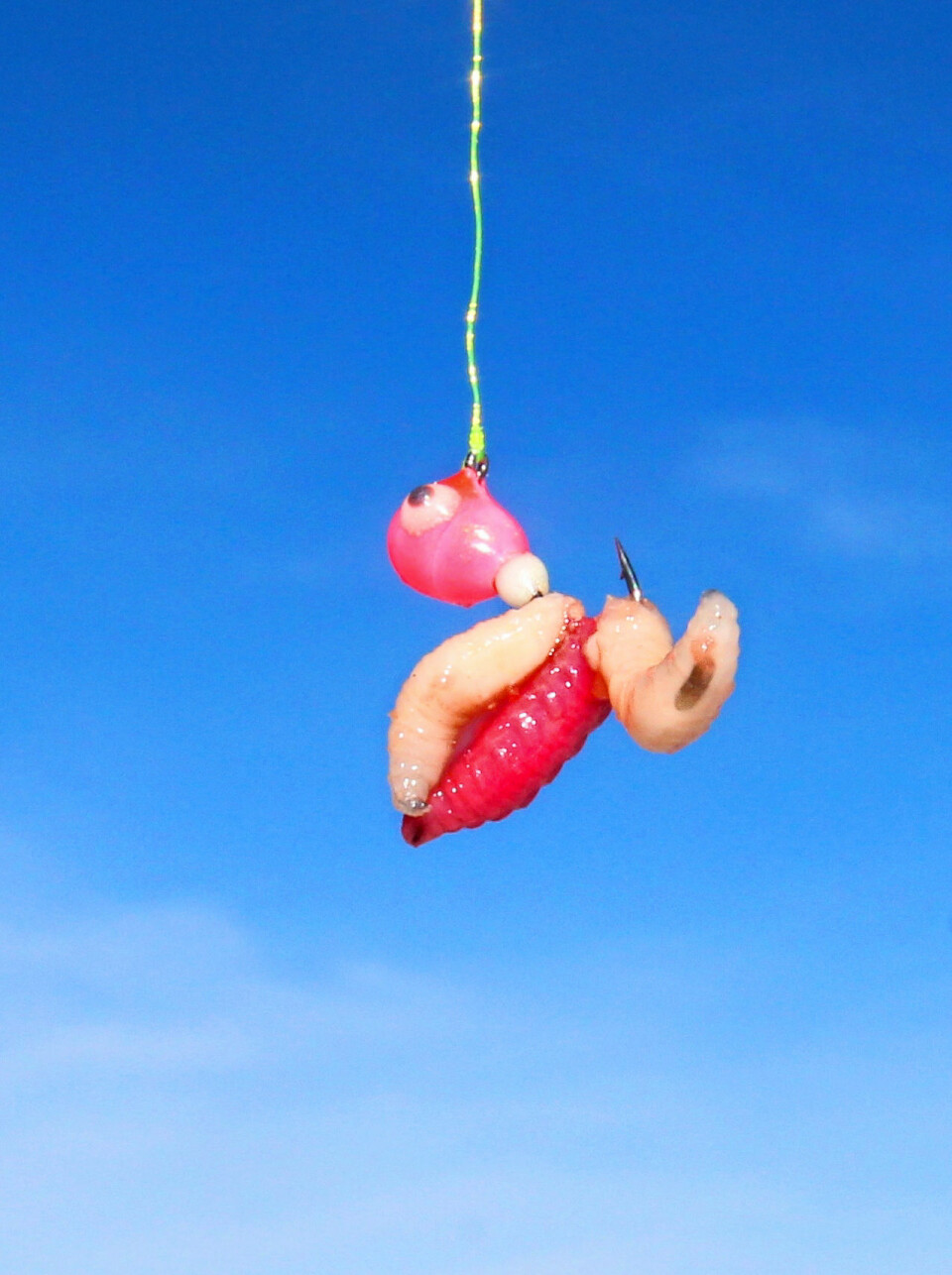 EFFEKTIV: En mormyshka agnet med maggot kan være et effektivt redskap i jakten på røye. (Foto: Stig Werner)