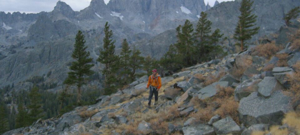 Milliardæren forsvant i løse luften – så gjorde en turgåer et funn