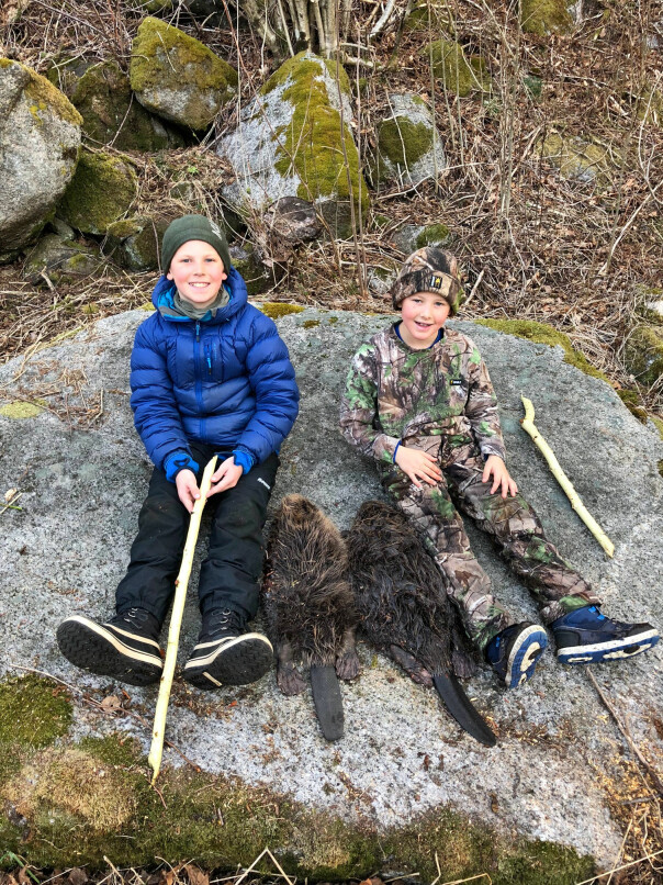 <b>BEVERFANGST: </b>Espens gutter, Emil (12) og Elias (8), er ivrige følgesvenner på jakt. Her fra en tur i fjor med bevere som fangst.