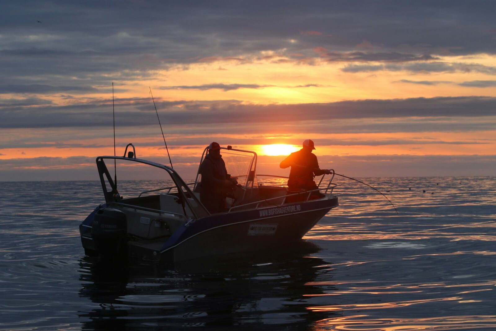 <b>ARTSRIKT:</b> Sørøya i Finnmark kan by på et svært artsrikt fiske.