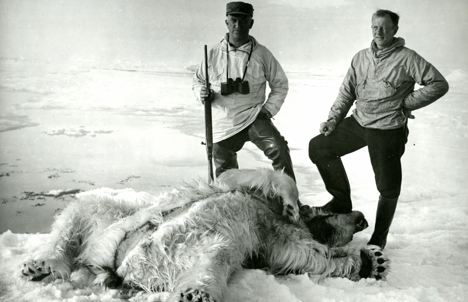 JEGER: Magne Råum (til høyre) og svenske Franz Walstein. Råum felte denne bjørnen fra skutedekket på vei inn mot Øst-Grønland i 1939. (Foto: Arneberg/ Norsk Polarinstitutt)