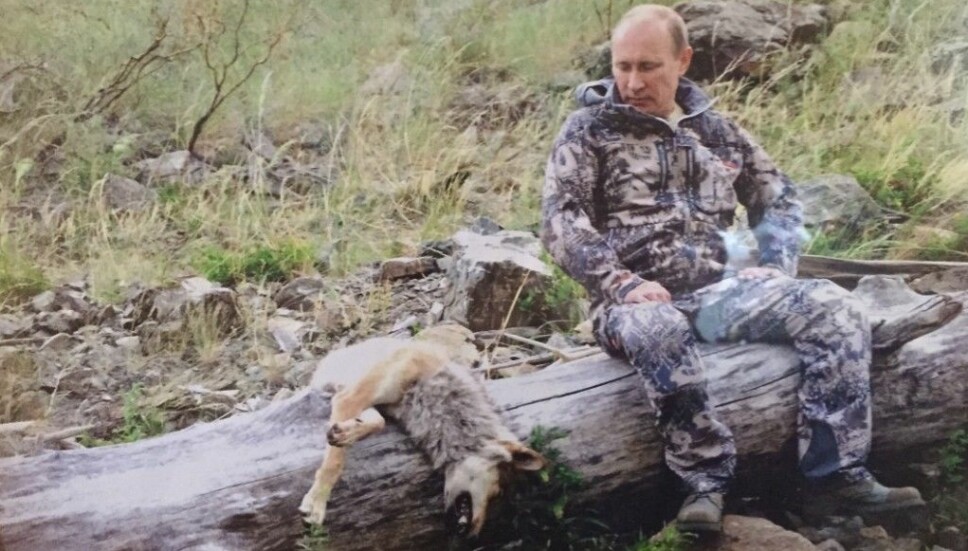 <b>SKJØT ULV:</b> I jakt­hyt­ta Es­pen Hau­ge­land over­nat­tet med jakt­laget sitt, hang det­te bil­det av Russlands pre­si­dent, Vla­di­mir Putin. Ul­ven skal være skutt av Putin.