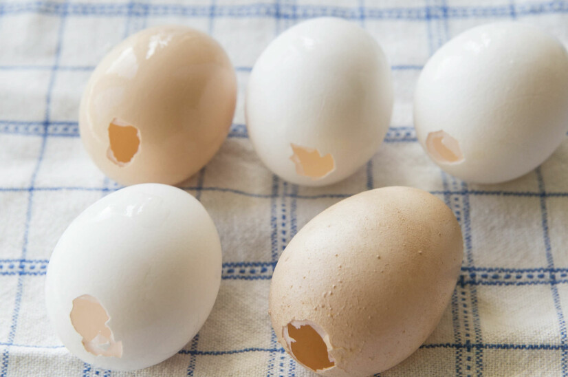 SKJØRE EGG: Vi har brukt en liten eggpumpe fra en hobbybutikk for å få ut innholdet i eggene. Etterpå kan du skylle eggene forsiktig i rennende vann før de lufttørker på et kjøkkenhåndkle.