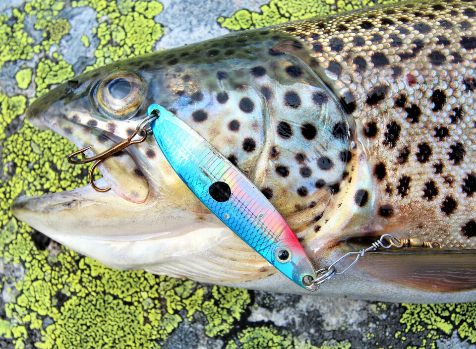 Værskifte og ørretbett