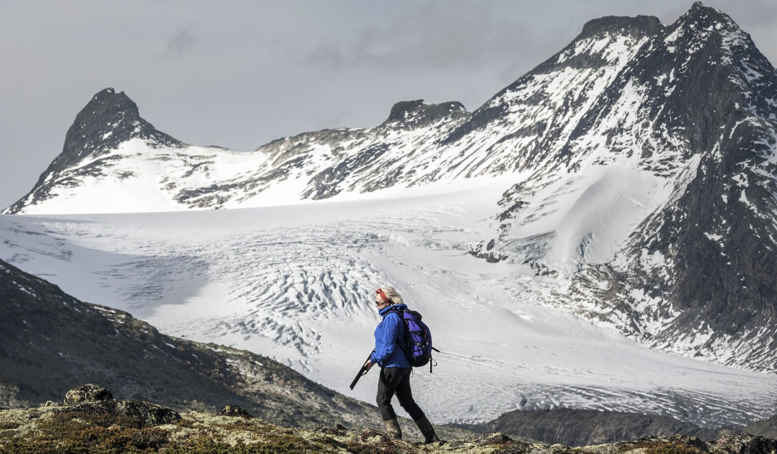 <b>FLOTT TERRENG:</b> Fantastiske omgivelser med Mjølkedalsbreen i bakgrunnen.