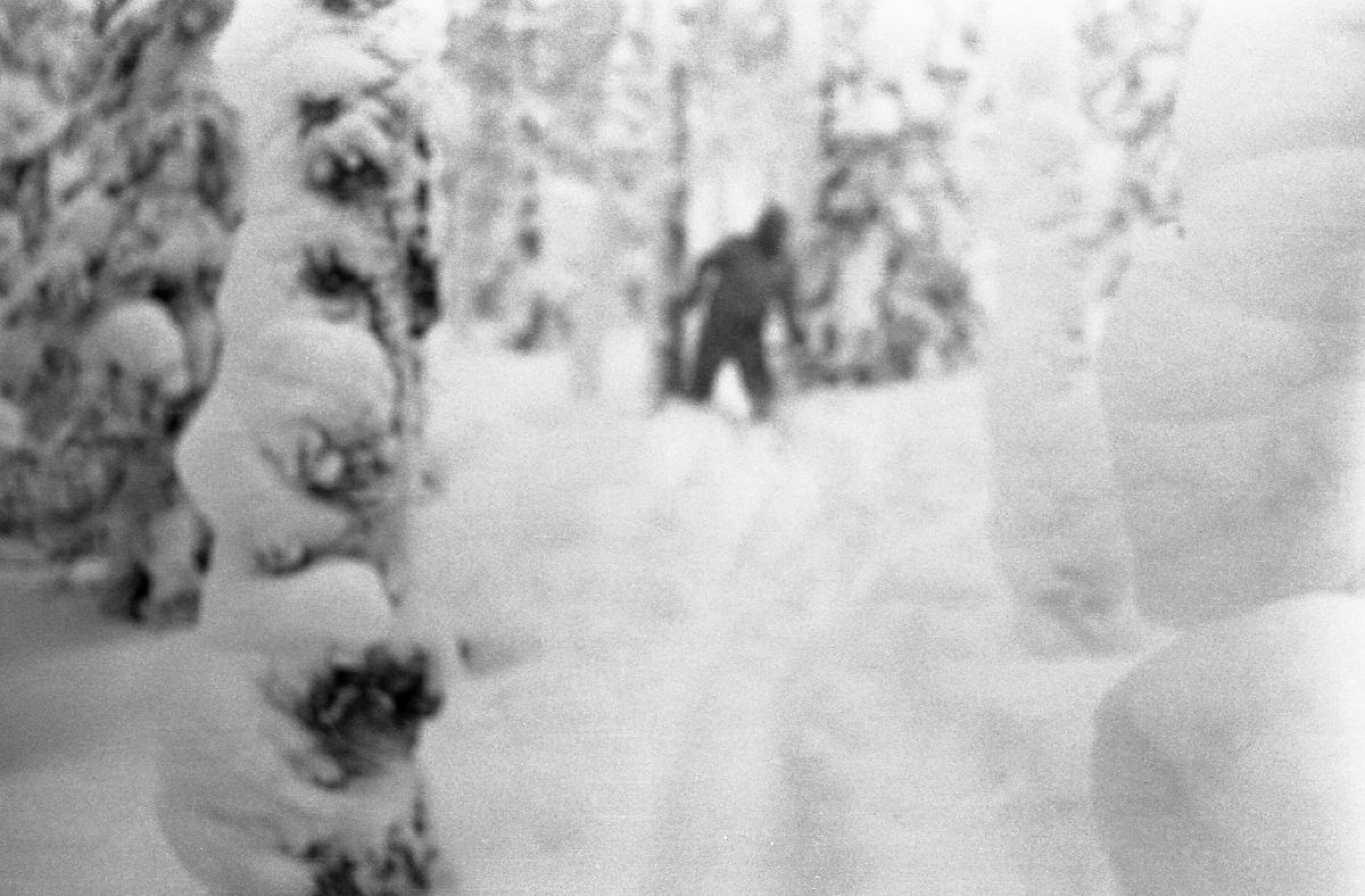 VENN ELLER VESEN: Dette bildet, den siste eksponeringen fra kameraet til Thibeaux-Brignolle, satte fart på ryktene om at følget var drept av en yeti. Andre bilder viste lysende objekter på himmelen, og ga grobunn for UFO-teoriene.