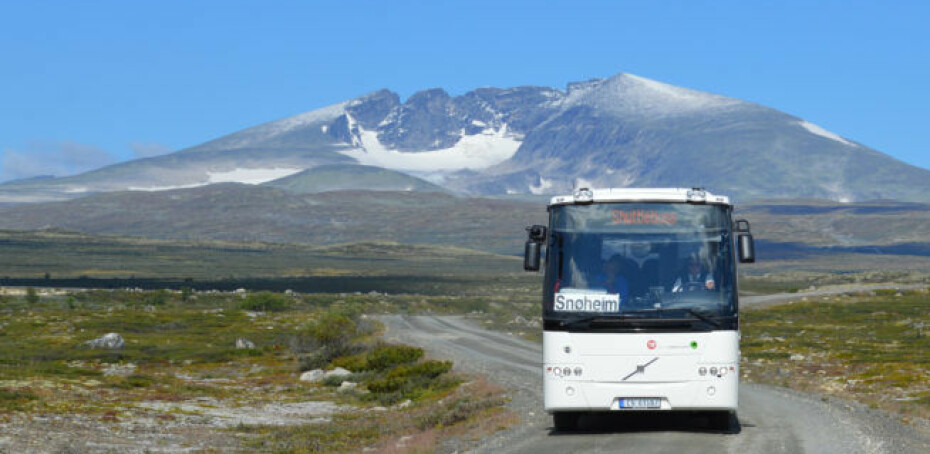 TA BUSSEN: Fylkesmannen i Oppland håper at så mange som mulig tar bussen inn til startpunktet til toppturen til Norges nasjonalfjell, Snøhetta for å skjerme villrein og moskus.