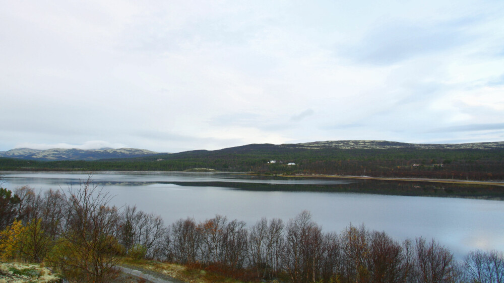 <b>SPENNENDE VANN:</b> I Stub­sjø­en (også kalt Stu­gu­sjø­en) kan du få både ør­ret og røye.