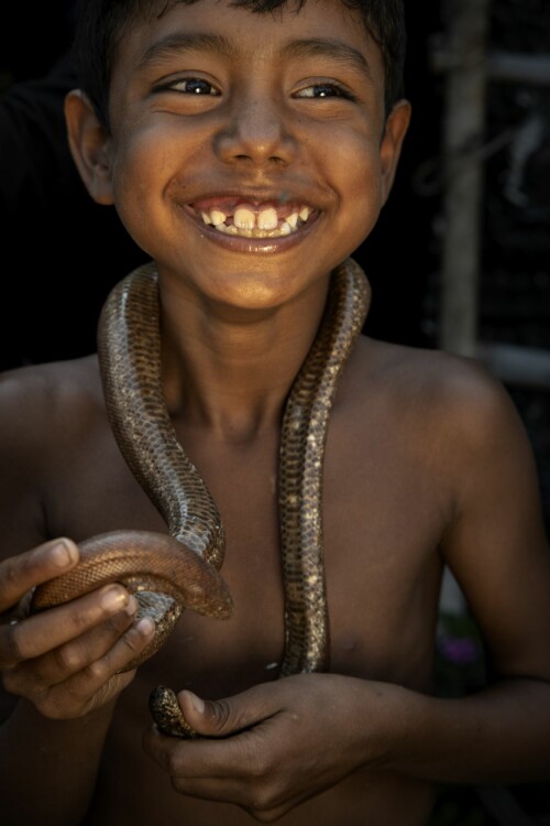 <b>EN LEK:</b> Barna og barnebarna til disse slange­trollmennene omgås slanger fra de er spedbarn. Derfor er de overhodet ikke redd for slanger. Nå blir tennene til de fleste (mest sannsynlig alle) giftslangene trukket ut, derfor er ikke slangene veldig farlig for barna. 