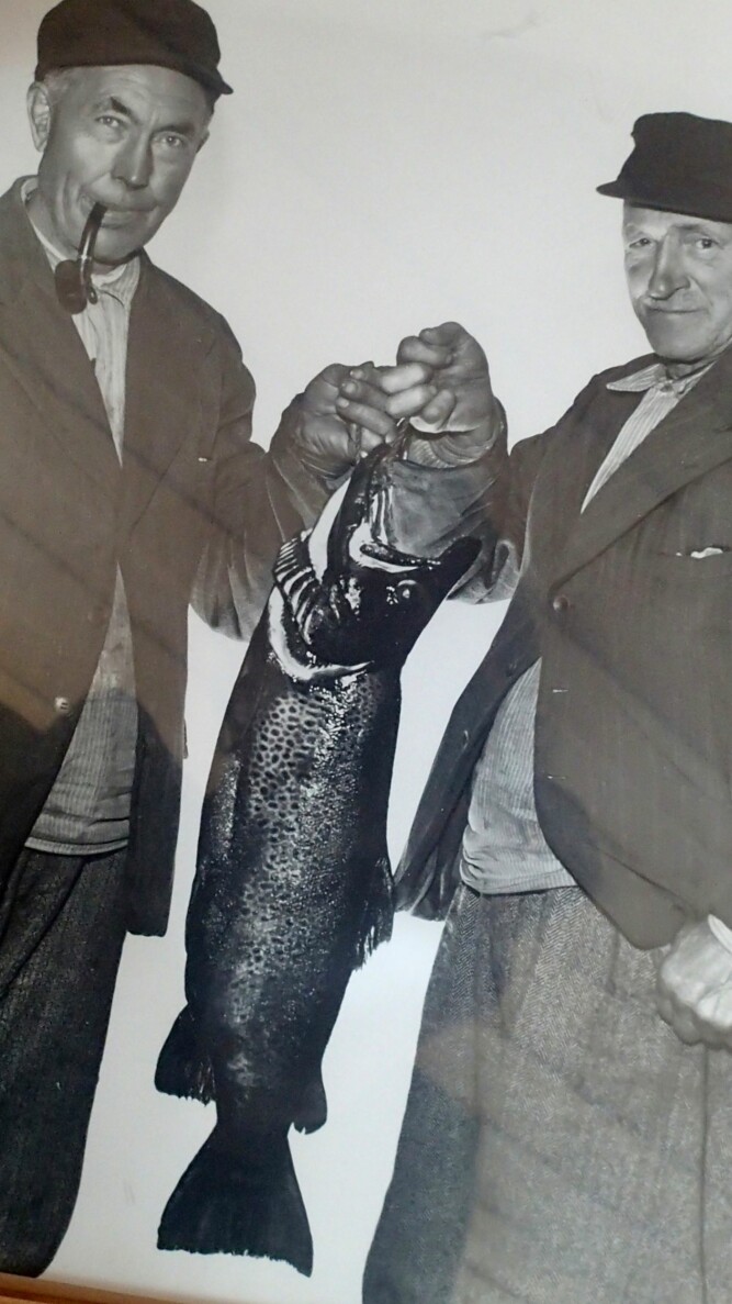 <b>SKARVANNET:</b> Denne kjempen tatt i Skarvannet i 1947 fant karene det verdt å bli foreviget med på skikkelig vis (foto: Privat). 