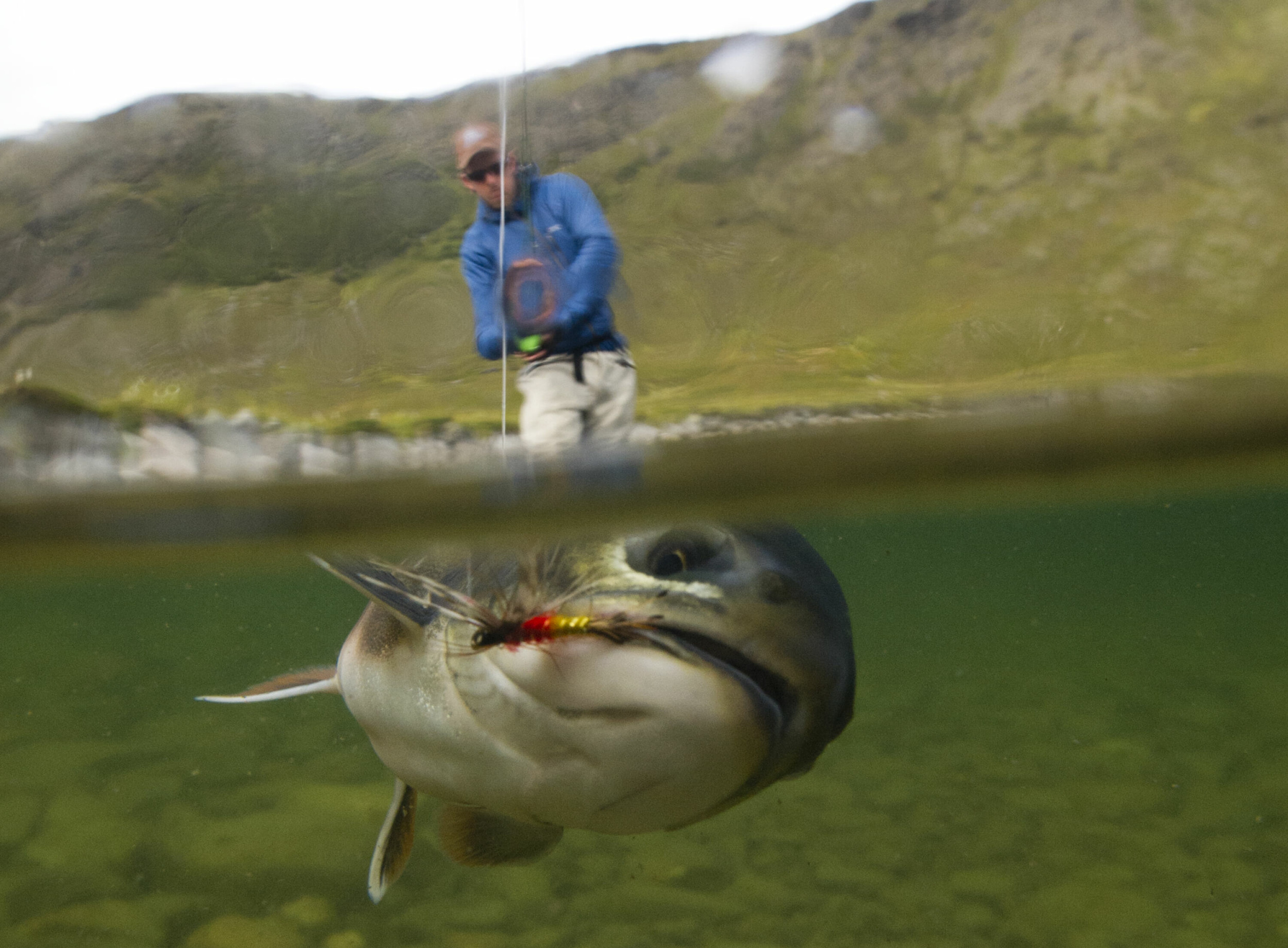 TØFFING: Sjørøya har store kraft-reserver og gir morsomme kamper.