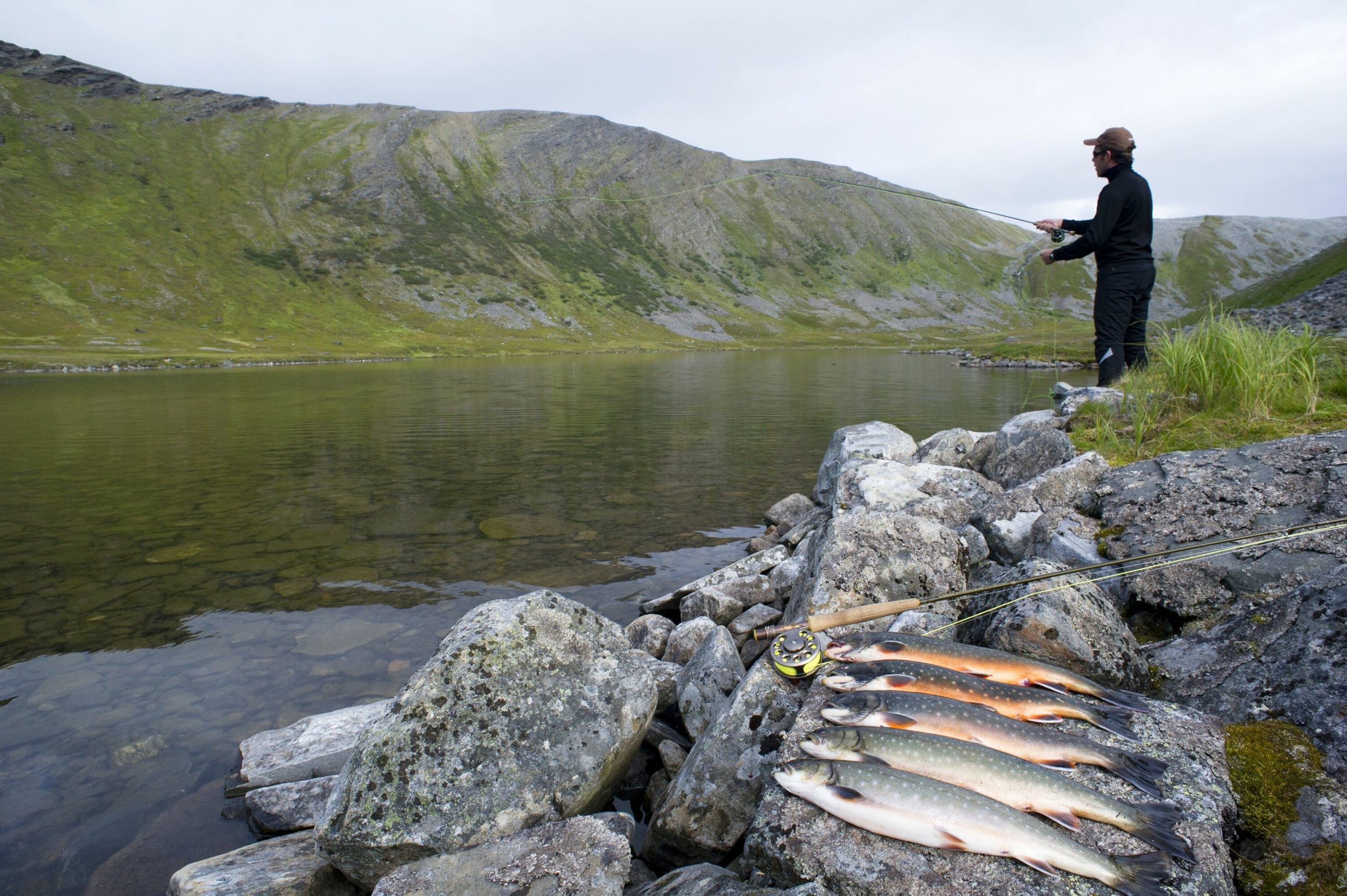 STORFANGST: Noen sjørøyer tok vi vare på, men de fleste fikk friheten tilbake.