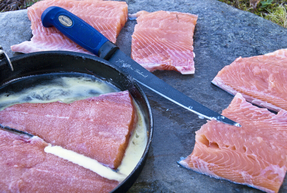 LUKSUS-MÅLTID: Noen av lakse-fangstene endte i panna.