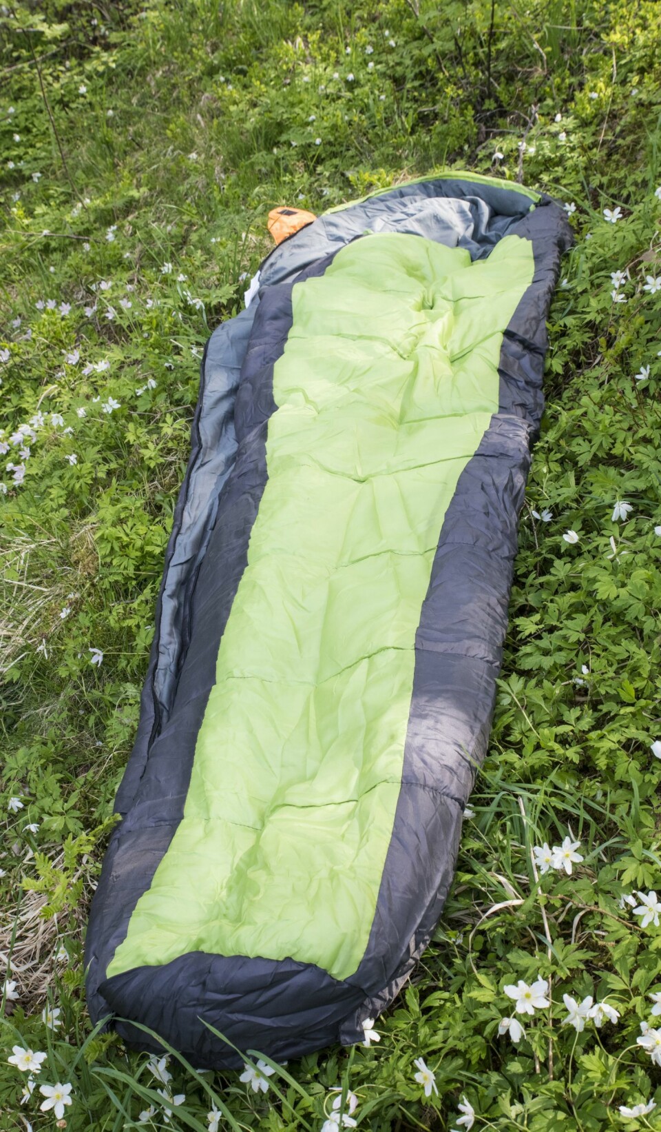 Utstyr til
sommerens telttur