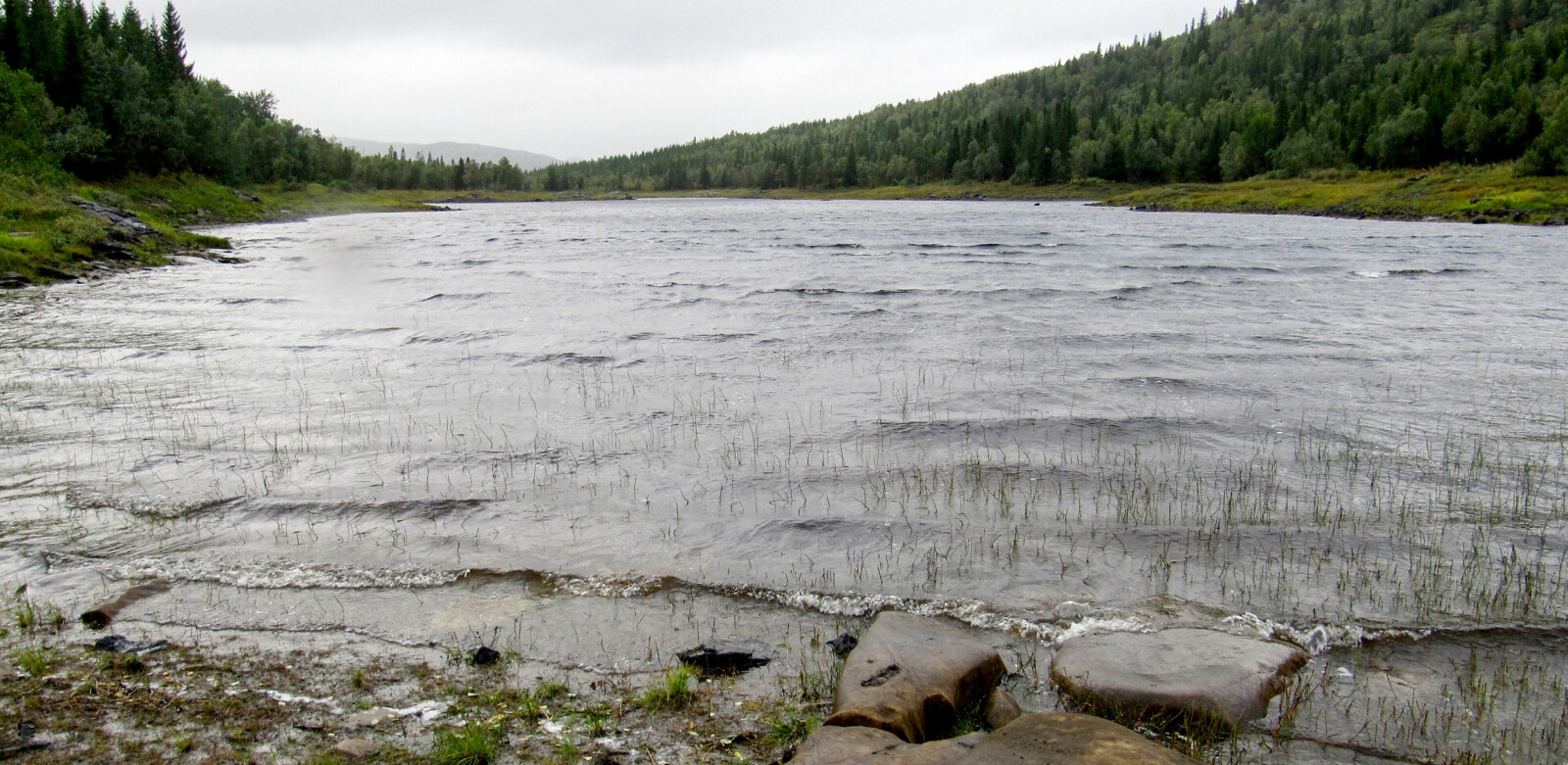 <b>ENGAVATNET:</b> Engavatnet i Velfjord i Nordland er et næringsrikt vann som huser grov ørret. I gamle dager ble det tatt ørret der på hele sju kilo. Men vannet er også en såkalt turlough, som er gælisk og betyr «tørt sted».