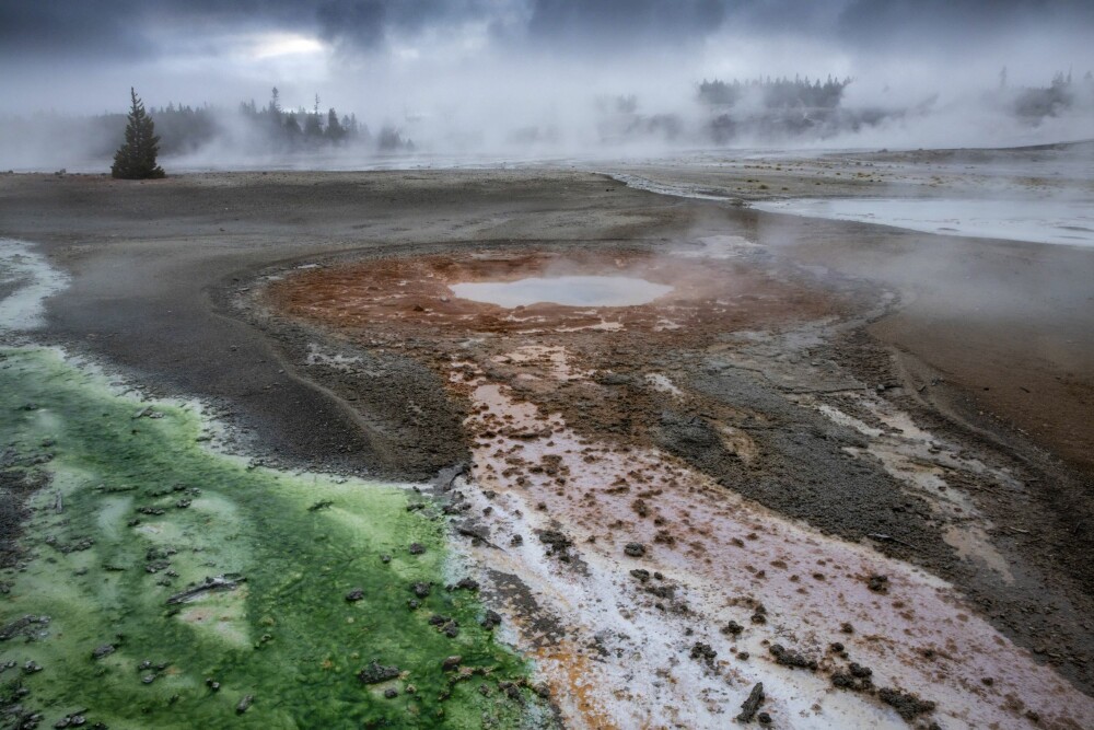 <b>VANVITTIGE FARGER:</b> Mikroorganismer som stortrives i det varme vannet og de syreholdige kulpene, skaper Yellowstones flotte farger. Her fra Norris Geyser Basin.