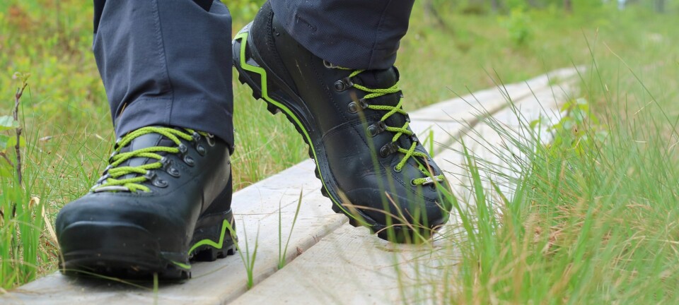 Stor test av fjellsko for folk flest