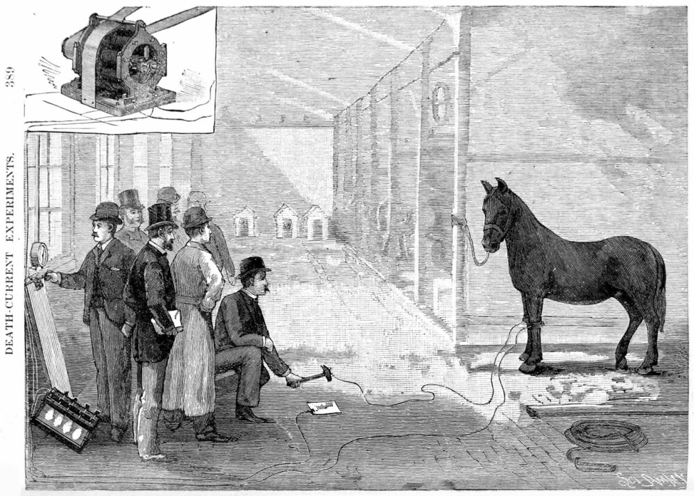 <b>BISARR:</b> I en demonstrasjon i 1888 viste Harold P. Brown at strømmen kunne ta livet av en hest. Stedet var laboratoriet til Thomas Edison.  