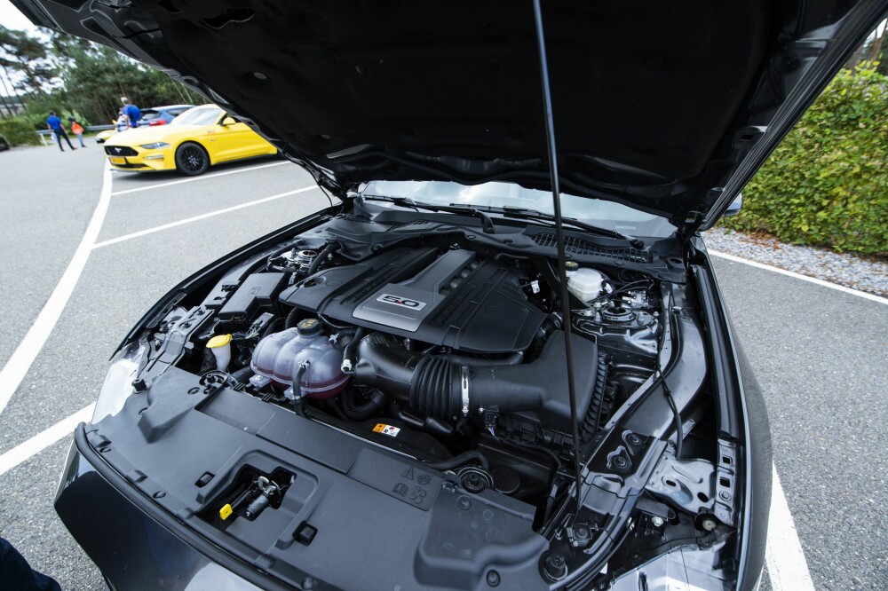 <b>V8:</b> Fords 5.0-liters V8-motor leverer 450 hk. 5,0 betyr et sylindervolum på 4951 cm3.