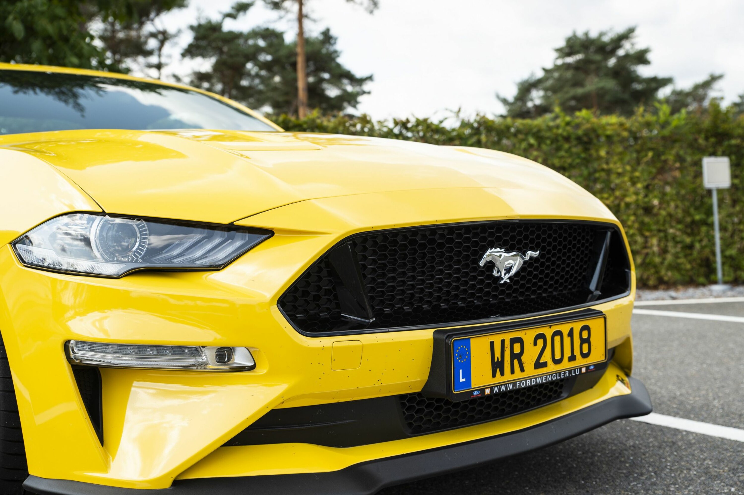 LAVERE: Panseret er lavere og har integrerte luftventiler. I kombinasjon med en lavere grill gir det en skarpere og mer aggressiv front, samtidig som det forbedrer bilens aerodynamikk.