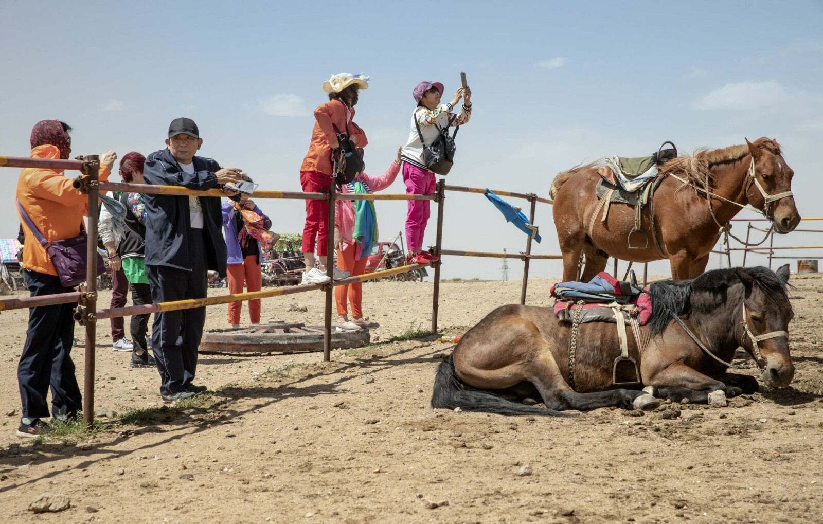 <b>TURISTFELLE:</b> Kinesiske turister ved Chilamule, en liten ger-landsby på gresslettene nord for hovedstaden Hohhot. Her er de i full gang med å fotografere hestene, mens de venter på at klokka skal bli 13 og tid for å se de mongolske mennene ri sine hester.