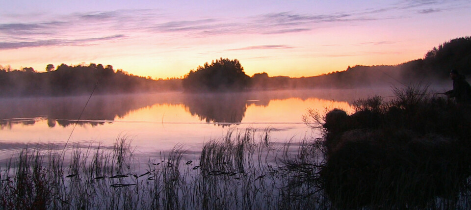 «GOVANNET»: Like ved Haugesund sentrum en tidlig morgen i april. Gjeve ørreter og lang sesong. Vil du prøve deg? Sjekk hjemmesiden: www.govannet.no.
