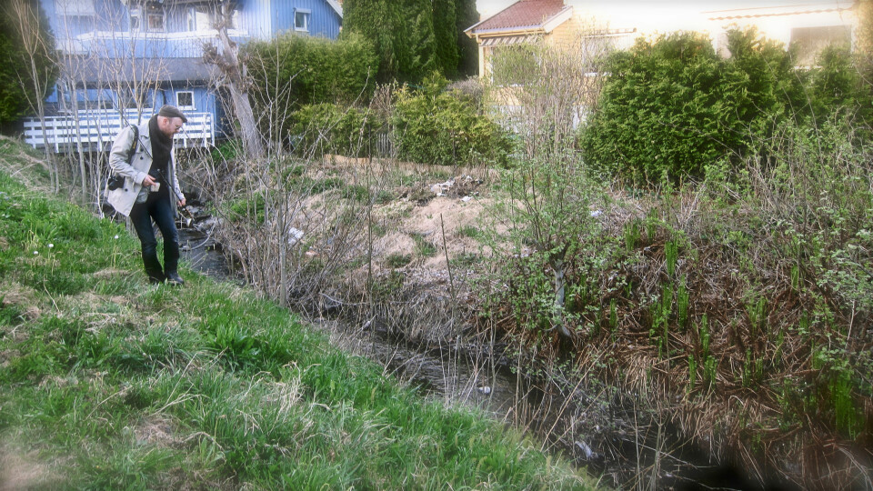 PÅ JAKT: Håvard Stubø med ørneblikk ned i de øvre deler av Hovinbekken.