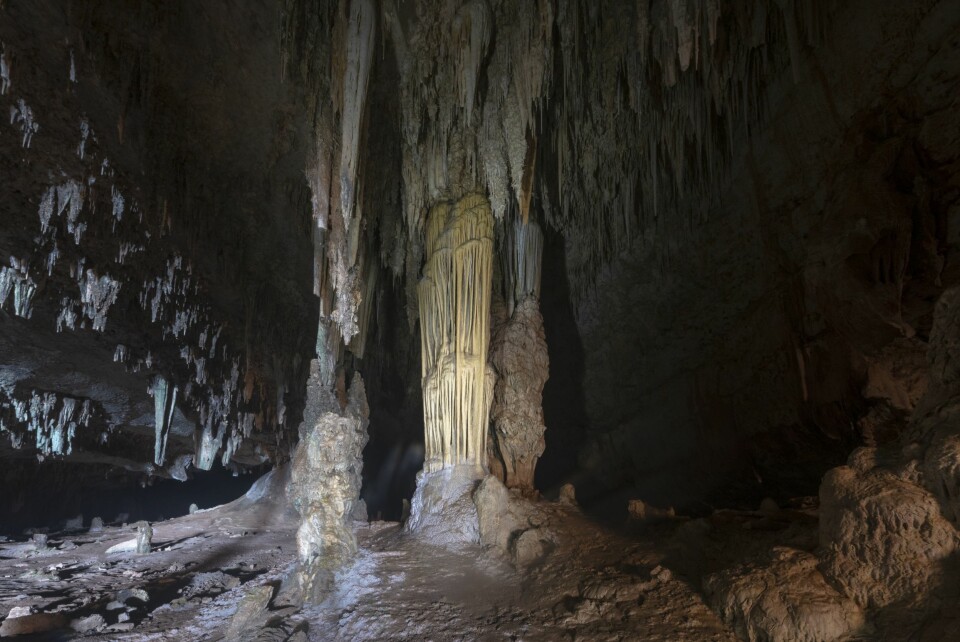 VOKTERNE: Ifølge de gamle legendene var alle hulene på Sokotra bevoktet av gigantiske slanger.