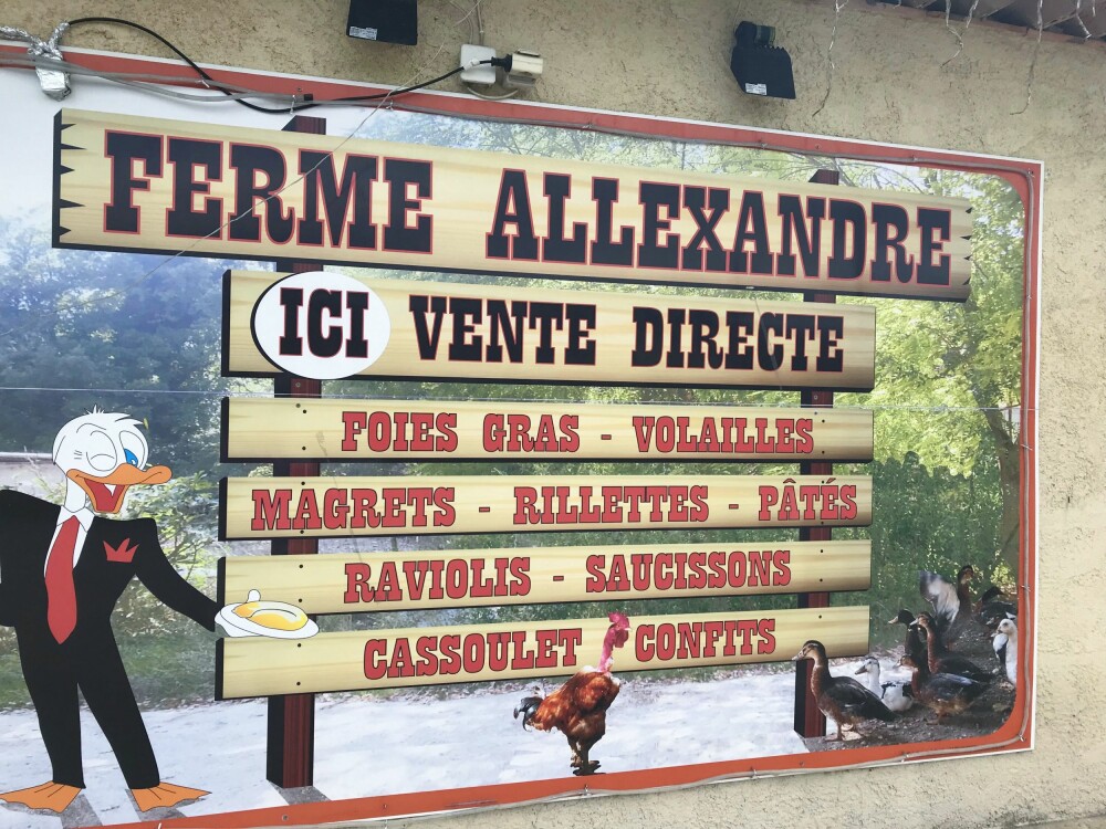 <b>DELIKATESSE:</b> Gåselever er en av de store delikatessene <br/>i Frankrike du kan kjøpe direkte fra bonden i Provence. <b>DELIKATESSE:</b> Gåselever er en av de store delikatessene <br/>i Frankrike du kan kjøpe direkte fra bonden i Provence.