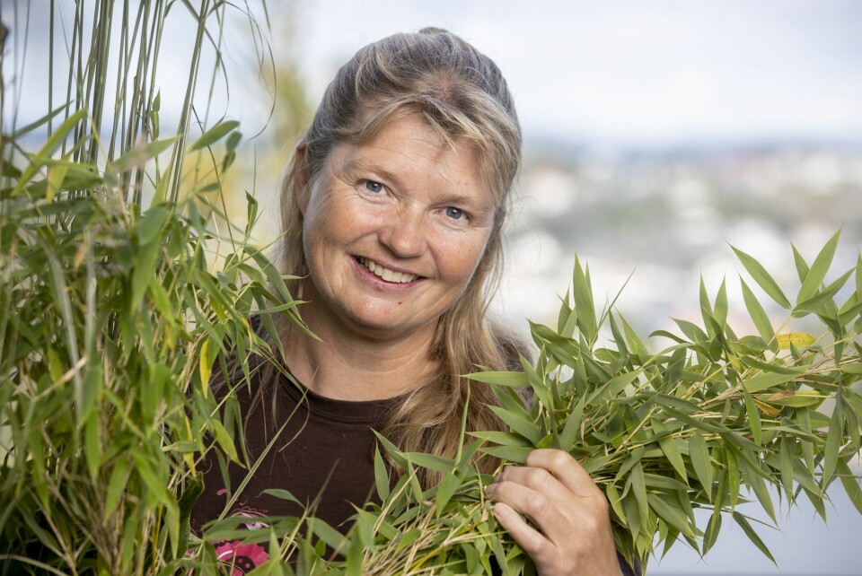 DELTAGER: Agna Hollekve.