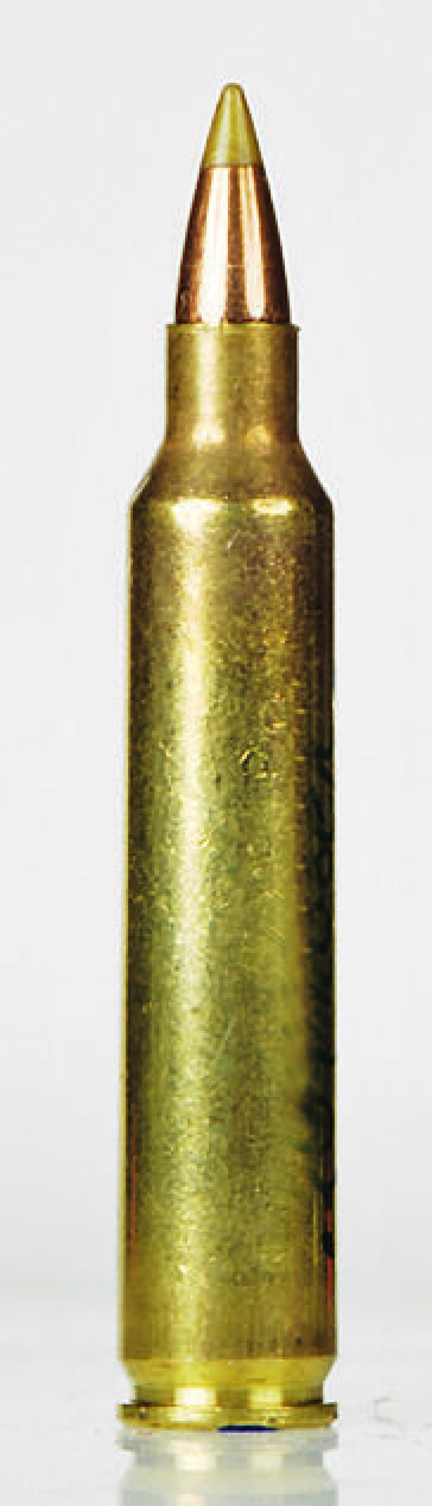 204 Ruger