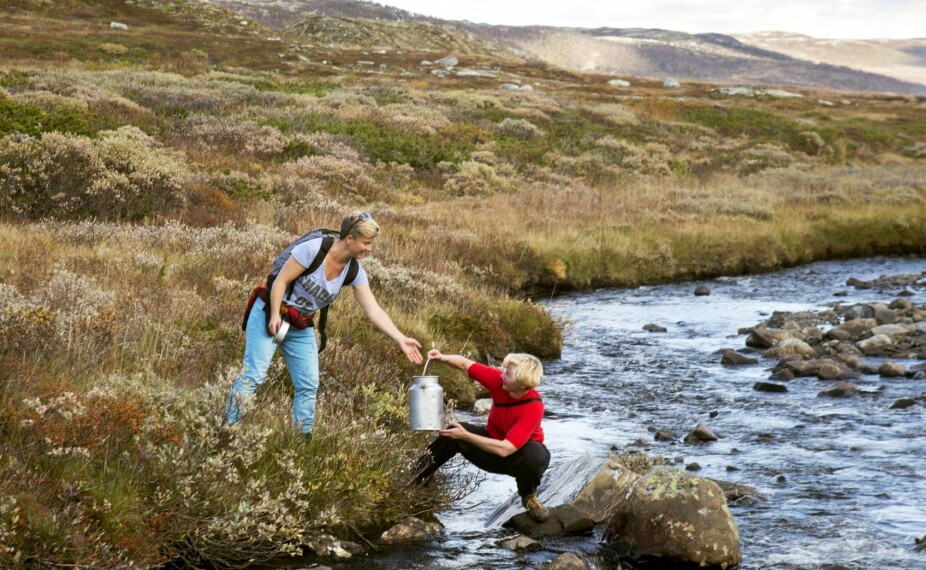 VANNKILDEN: Fjellbekken der de henter vann ligger ti minutter fra hytta.