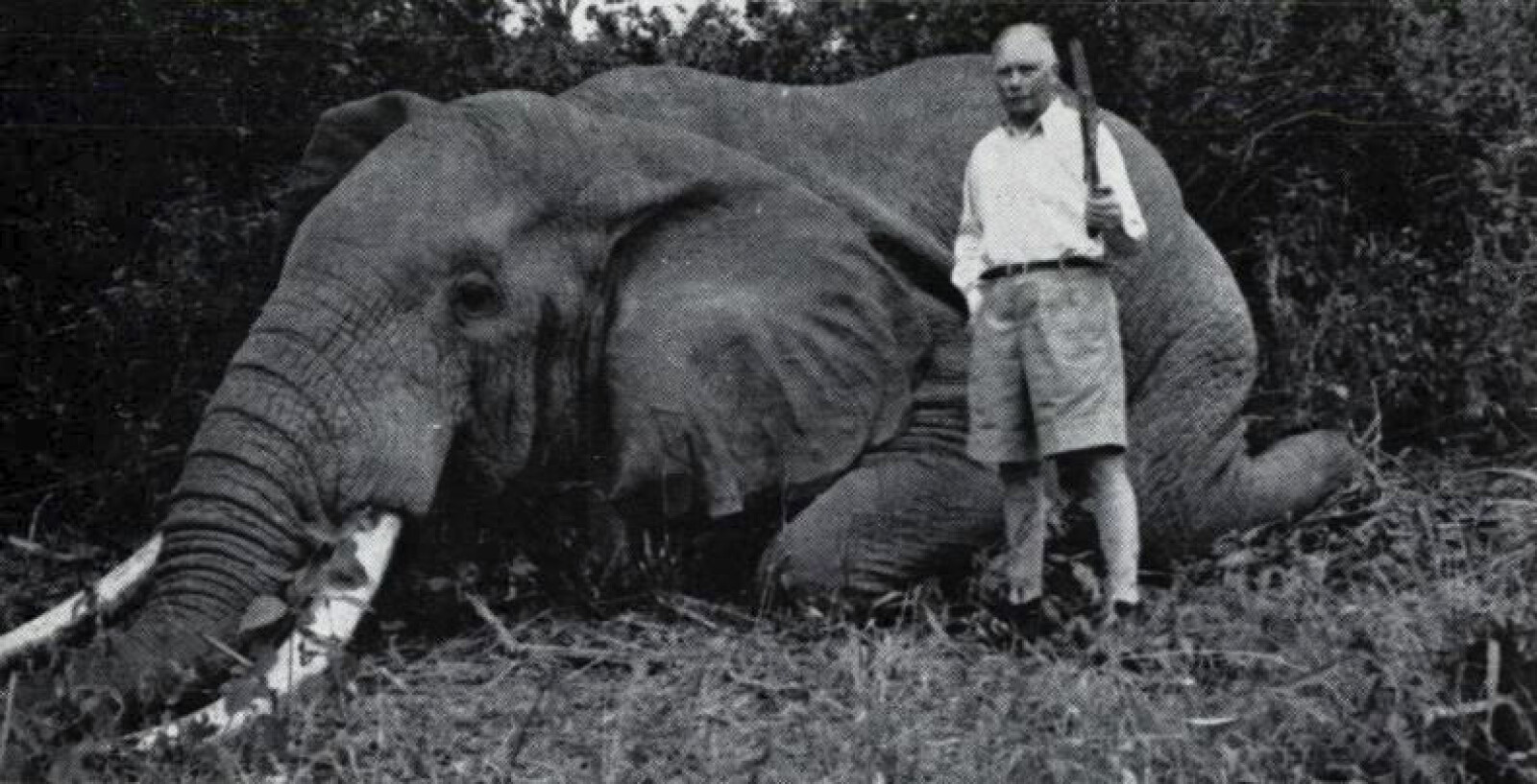 ELEFANTJAKT: 71 år gam­mel dro Fritz Michael Treschow på jakt i Af­ri­ka. (Fak­si­mi­le: «Stor­je­ge­re»)