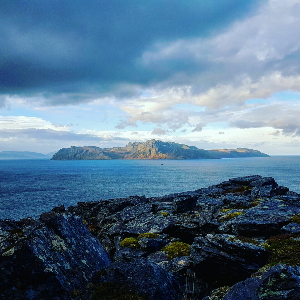 Harejakt ved kysten gir ofte flott utsikt.