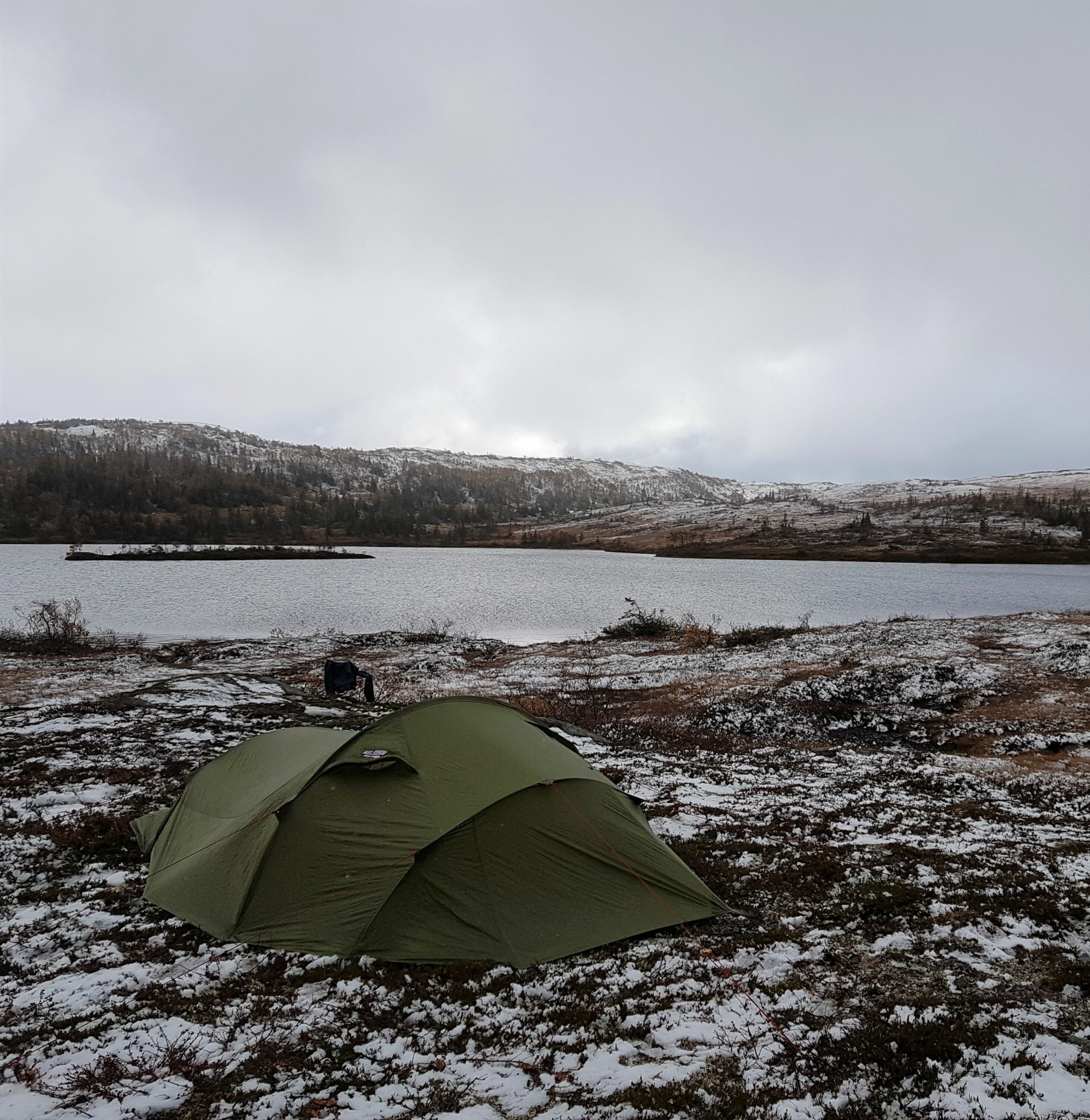 Ryper ble det – selv med pensjoniststaver!