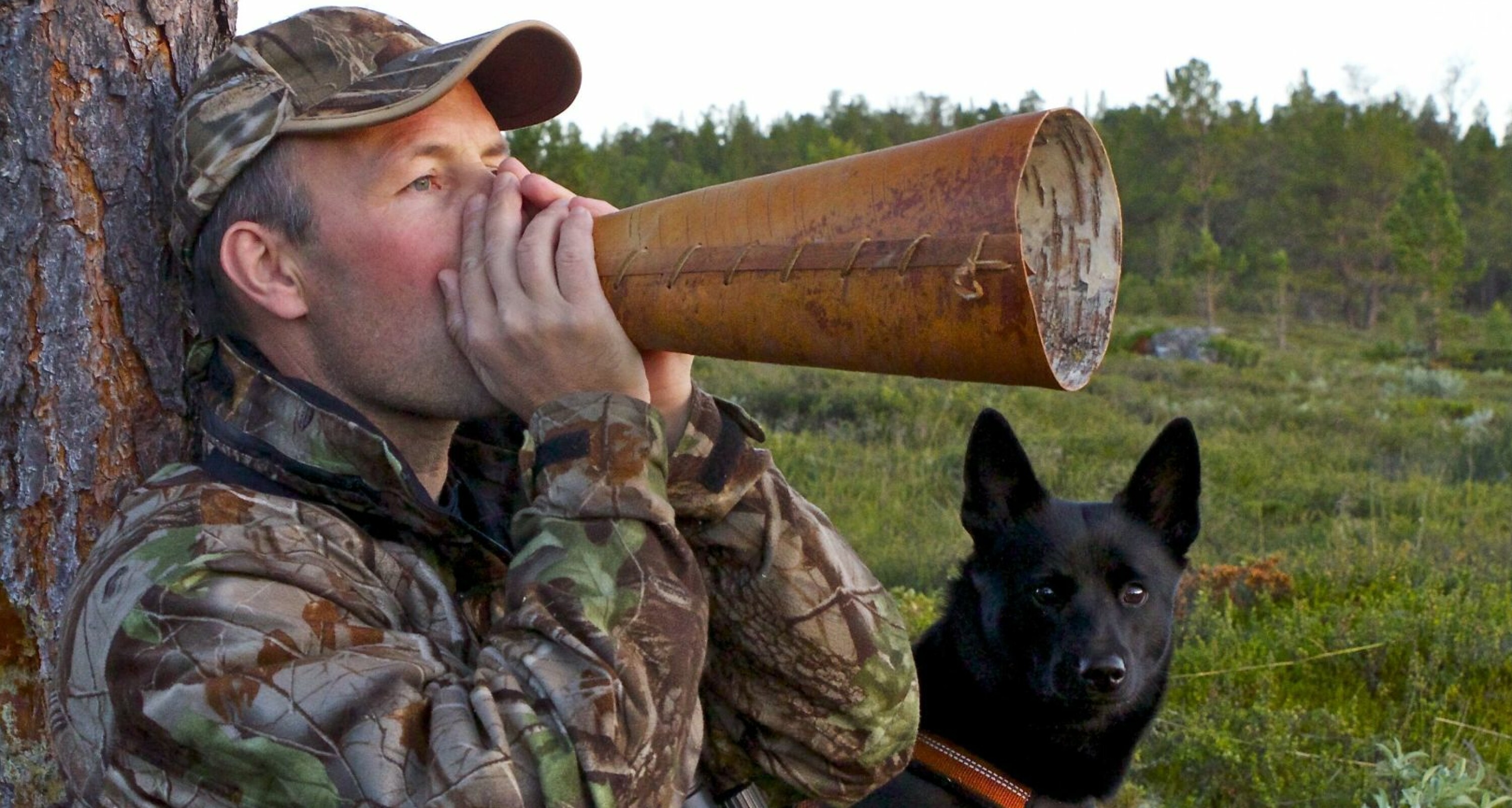 ROPER PÅ ELGEN: Bjørn Brendbakken, jeger og naturfotograf, lokker på elgen også når han skyter med kamera.