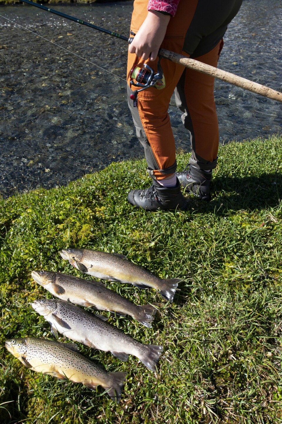 FLOTT TUR: Når værgudene smiler og ørreten biter, kan det nesten ikke bli bedre ...