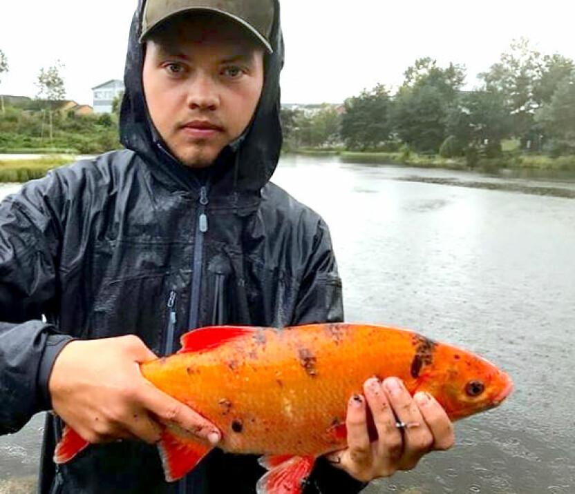 FISKET GULLFIKS: Thomas Hille fikken uvanlig fangst - en gullfisk