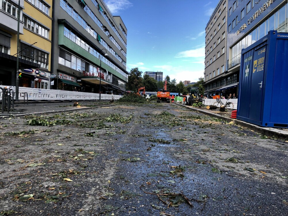 <b>MILJØHOVEDSTAD:</b> Olav Vs gate etter at MDG hadde meid <br/>ned all vegetasjon. Over 120 millioner vil det koste å omgjøre veistumpen til gågate. Oslo-borgerne betaler.