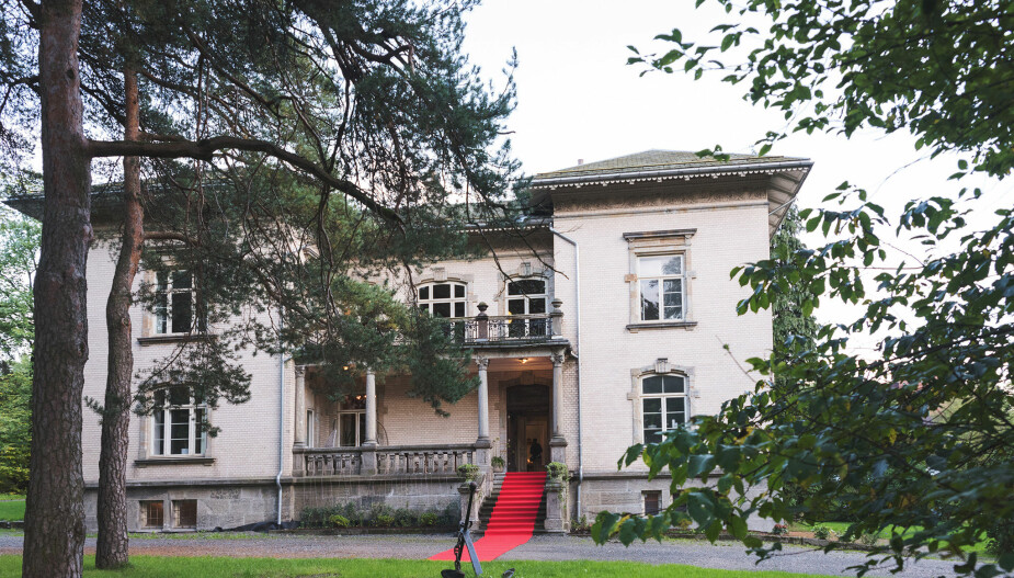 DIGERT: Villa Frednes er et dominant skue i Porsgrunn. DIGERT: Villa Frednes er et dominant skue i Porsgrunn.