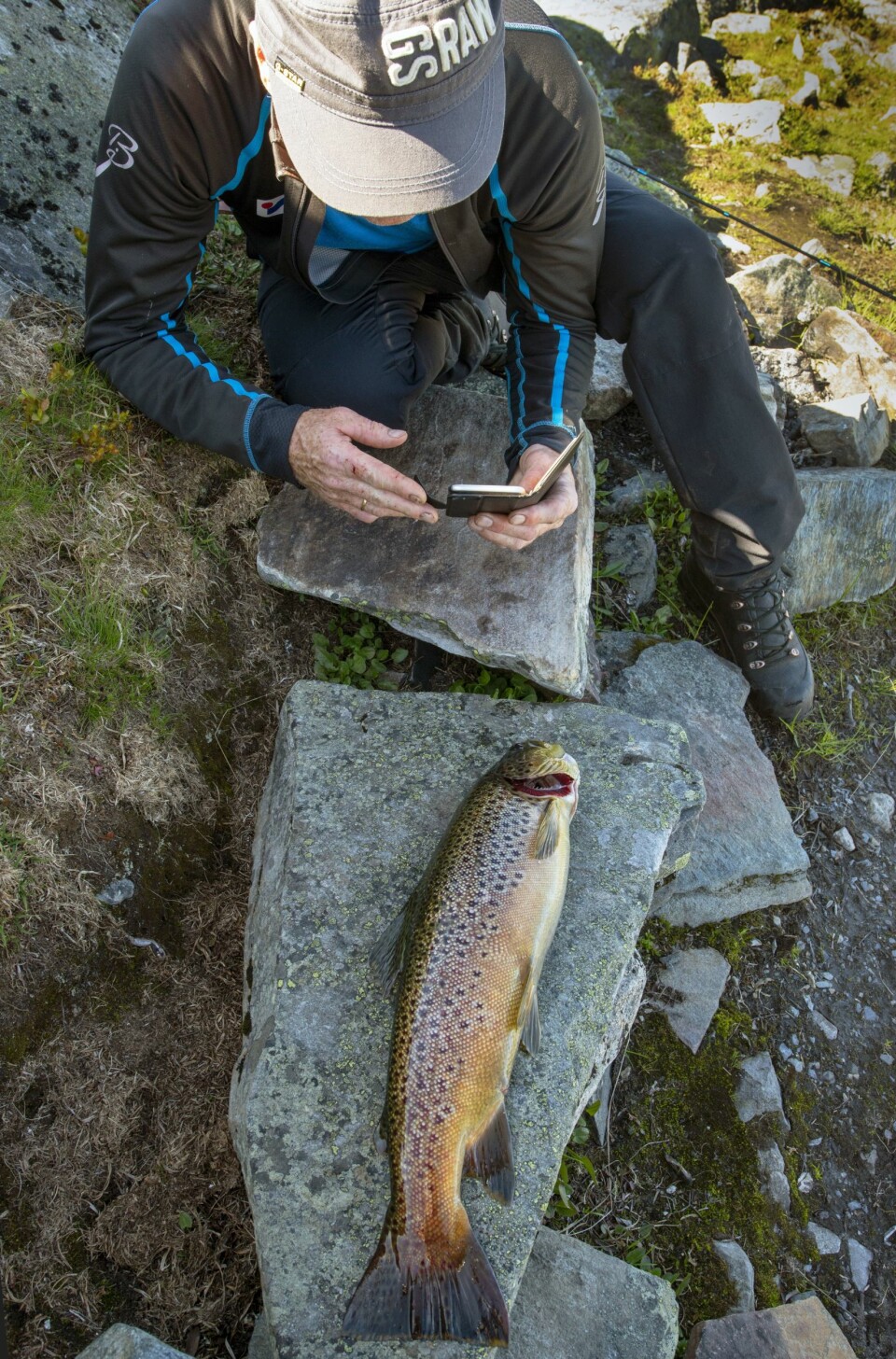 DOKUMENTERER: Som alle oss andre vil også Kjetil forevige storfisken med mobilkamera for så å kunne skryte litt til venner og bekjente