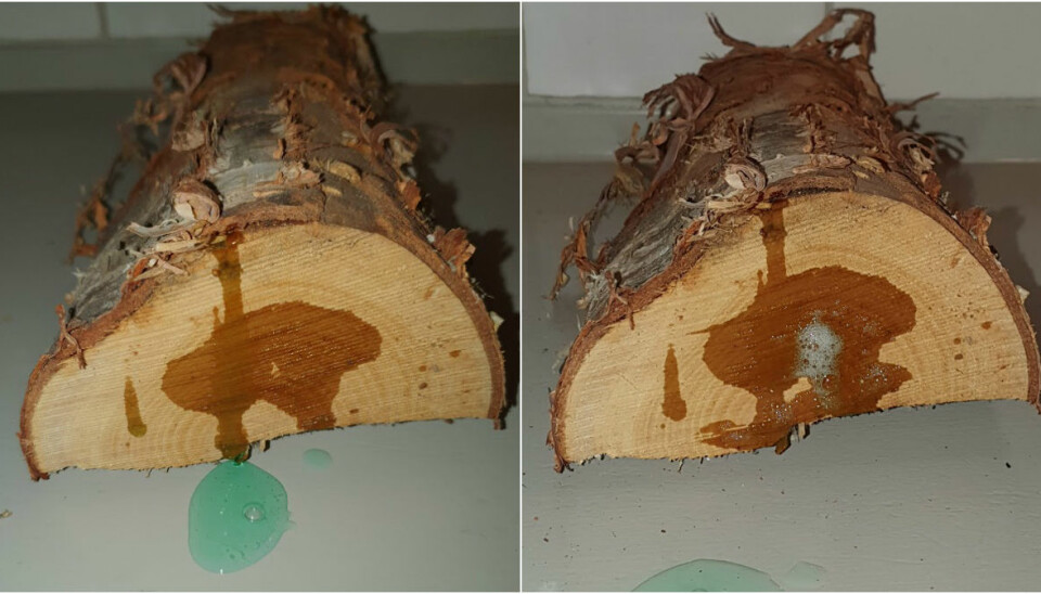 Zalo-trikset som kan få fart på fyringen