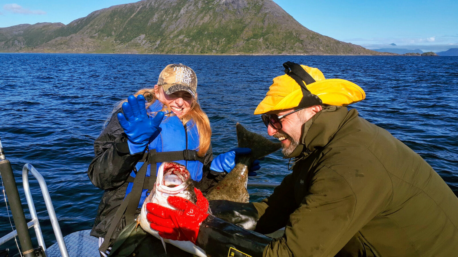 FERSK: Fersk fisk tatt av en fersk fisker på Sørøya i Finnmark.