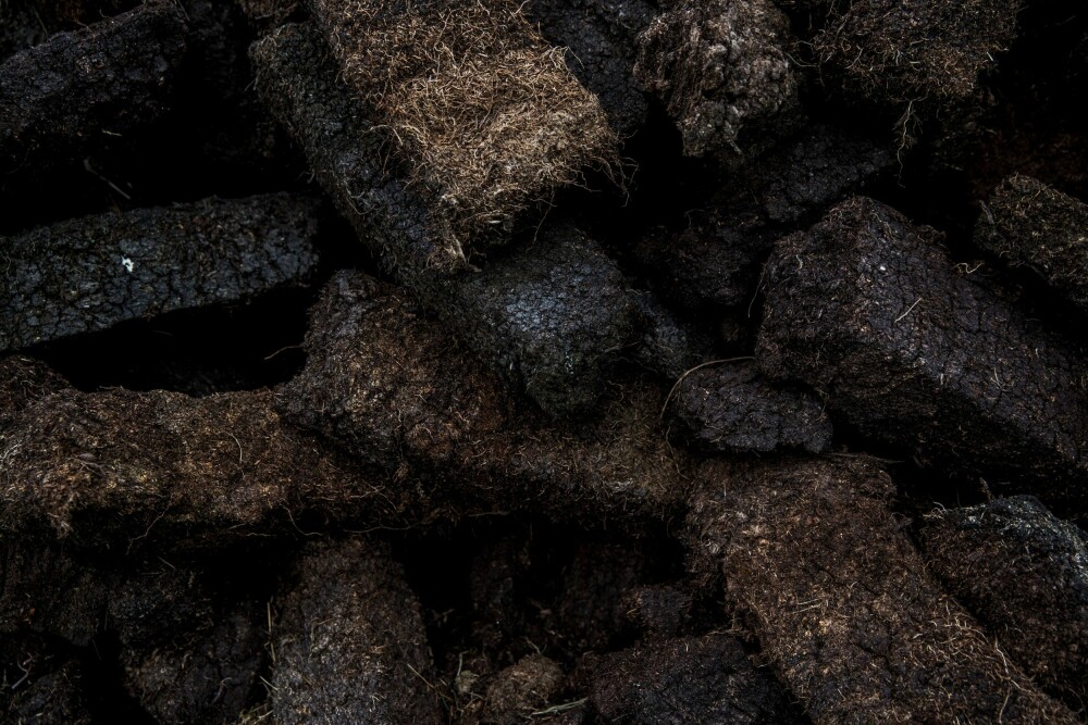 <b>NATURENS UNDER:</b> Torven som ligger under overflaten over deler av Islay er brennstoffet som gir byggkornene røykaroma.