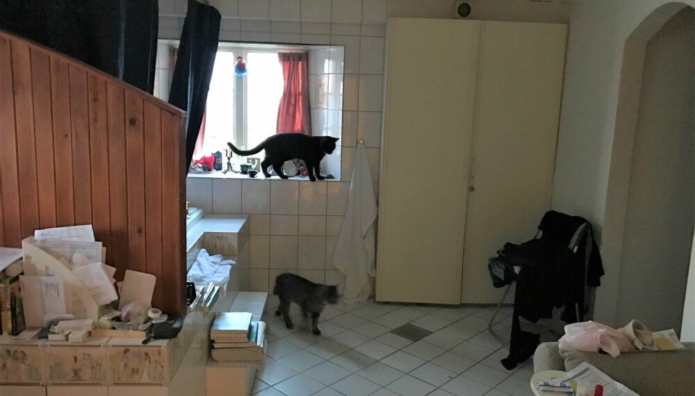 FLISLAGT: Stor deler av arealet var flislagt. Kattene likte seg i hvert fall her. FLISLAGT: Stor deler av arealet var flislagt. Kattene likte seg i hvert fall her.