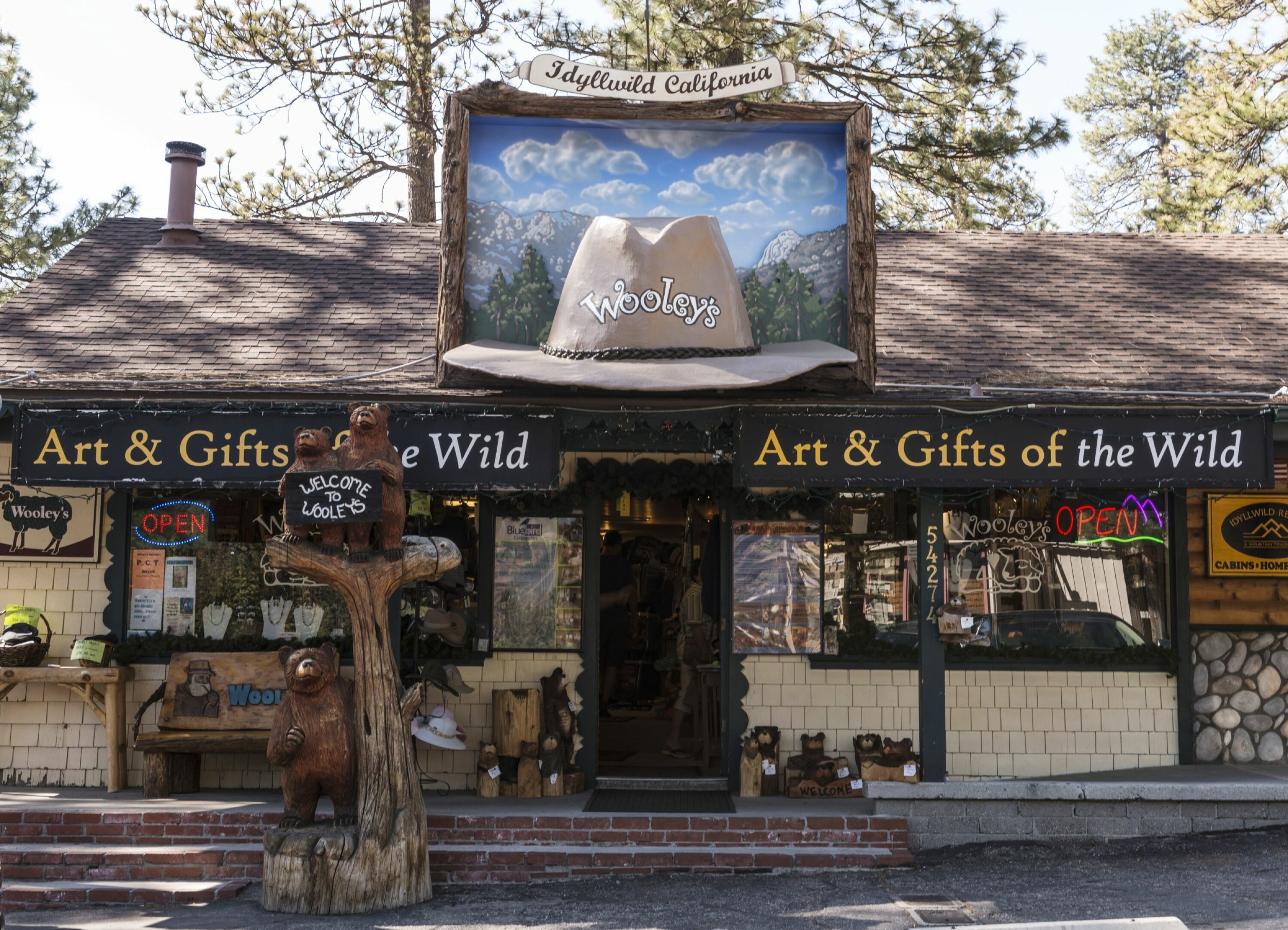 ROLIG TEMPO: Kunstnerbyen Idyllwild.